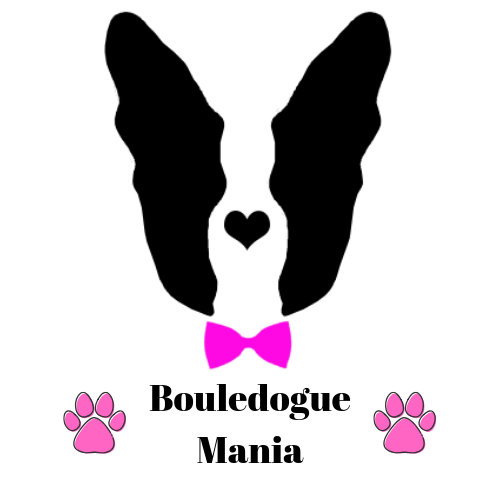 Bouledogue Mania