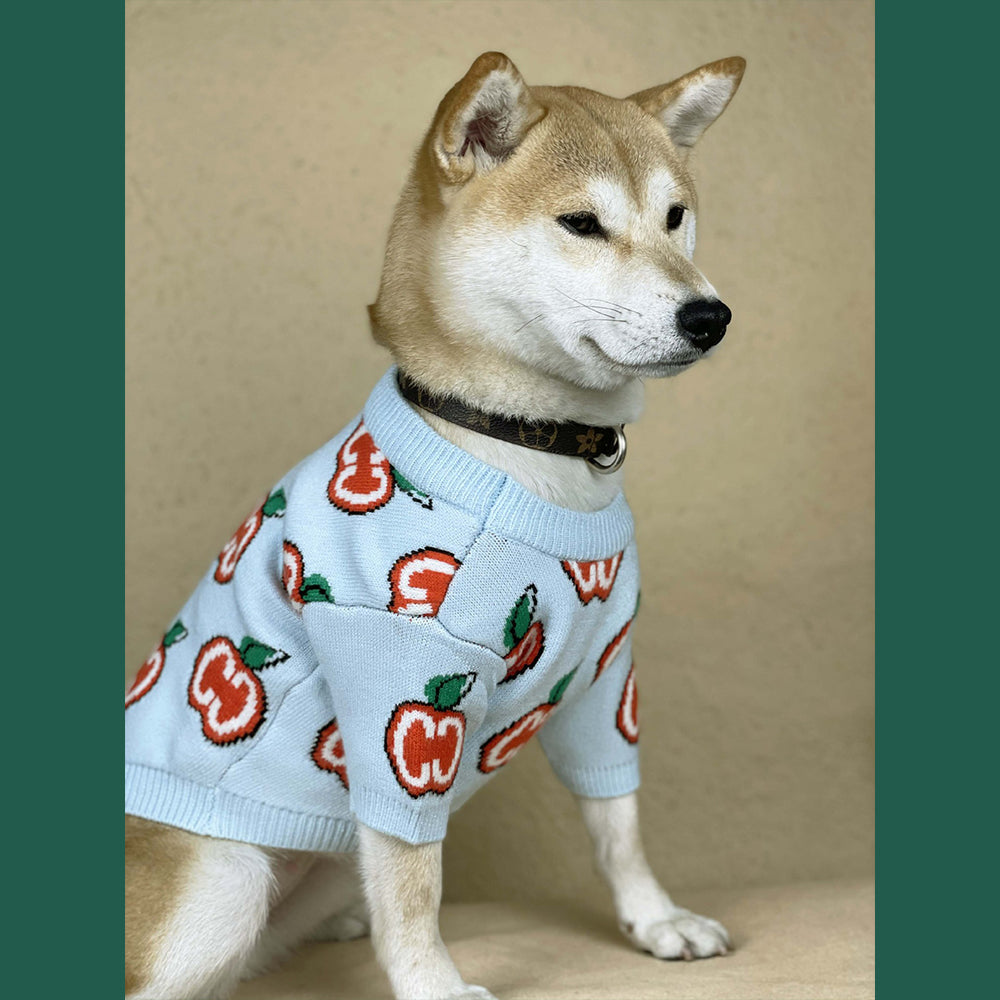 Pull pour chien Pomme Gucci