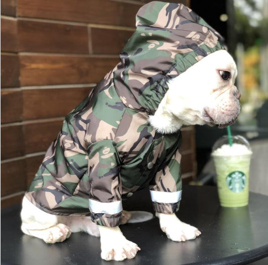 pull-over pape camo w225# - Bouledogue Mania