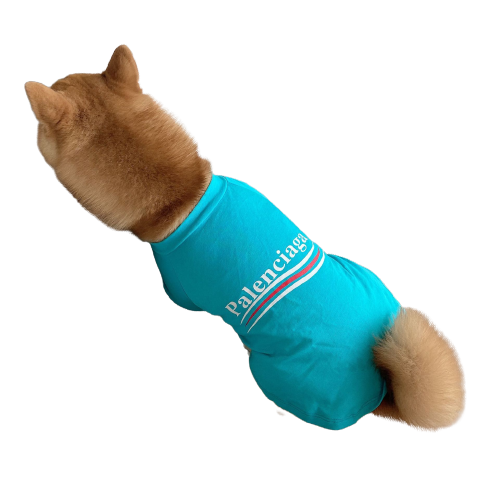 T-shirt bleu pour chien Palenciaga