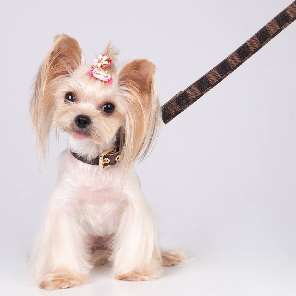 Collier de chien réglable en cuir de PU pour chien et chat. - Bouledogue Mania