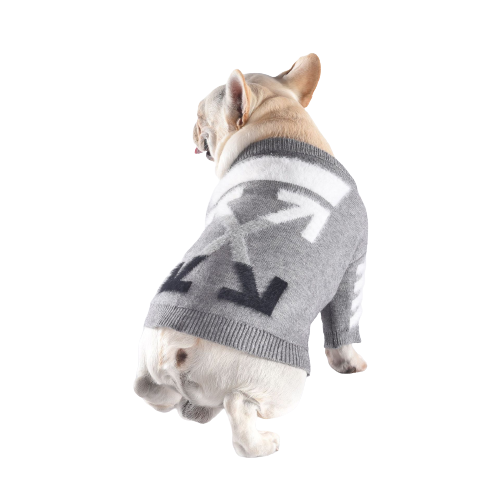 Pull pour Chien Tendance OFF-White