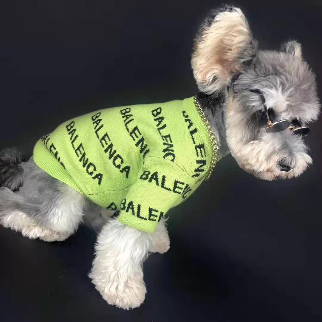 pull-over d'hiver pour chien