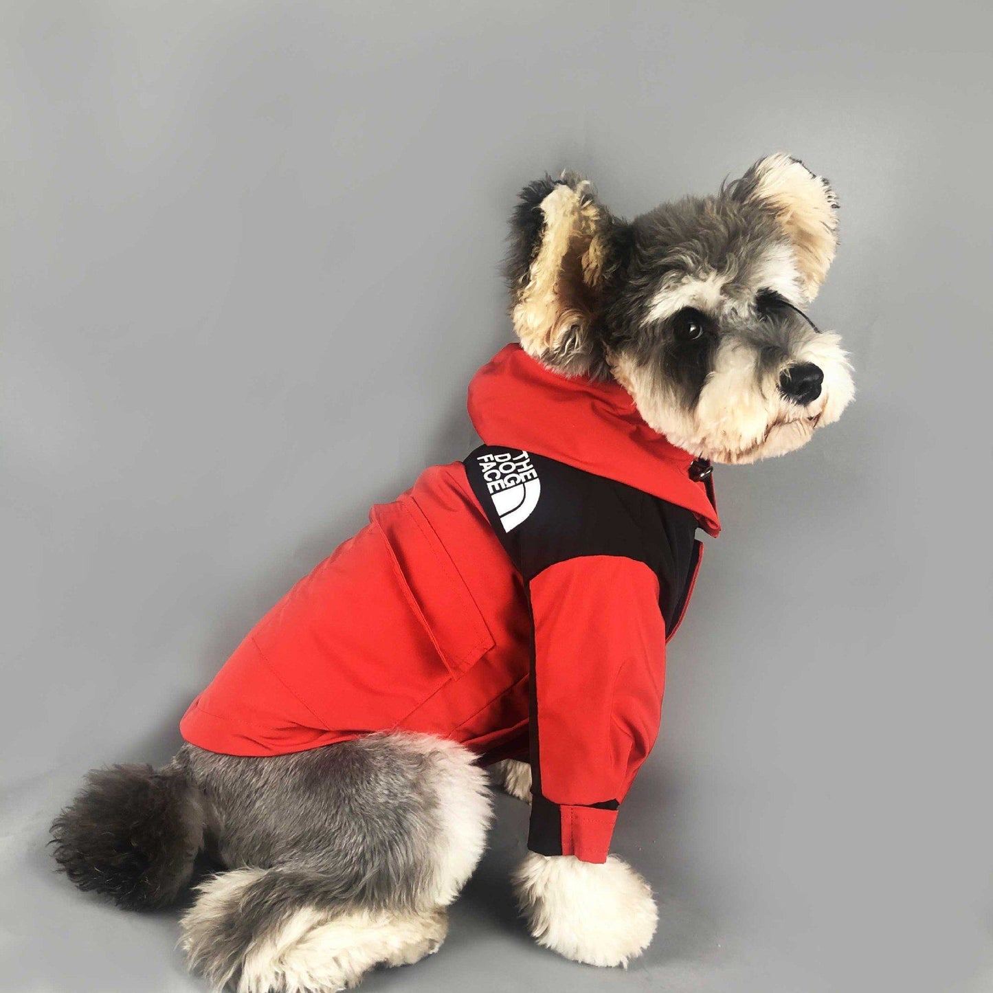 Veste en duvet pour chien w090#