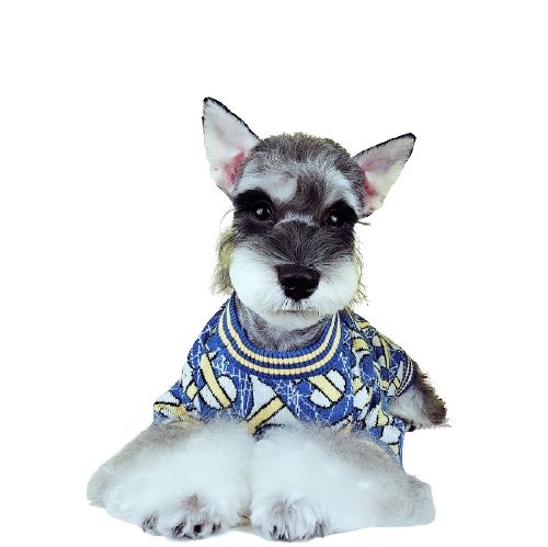 Pull Burberry Bleu pour chiens