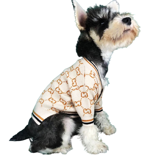 Pull beige pour chien Gucci