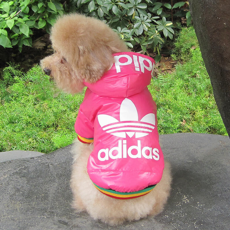 Sweat à capuche pour chien Vêtements en coton pour petits et moyens chiens et chats - Bouledogue Mania