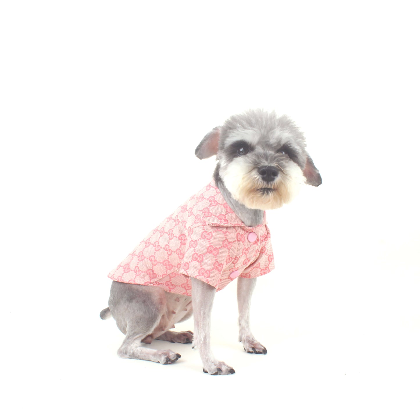 Tendance mode mignon vêtements pour chien design classique - Bouledogue Mania