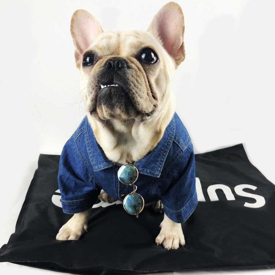 Badlenciaga Veste en jean pour chien Manteau d'hiver Cool Clothes-175# - Bouledogue Mania