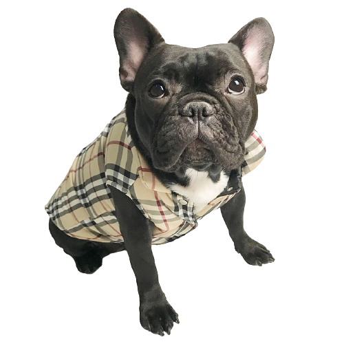 Gilet Burberry pour chiens