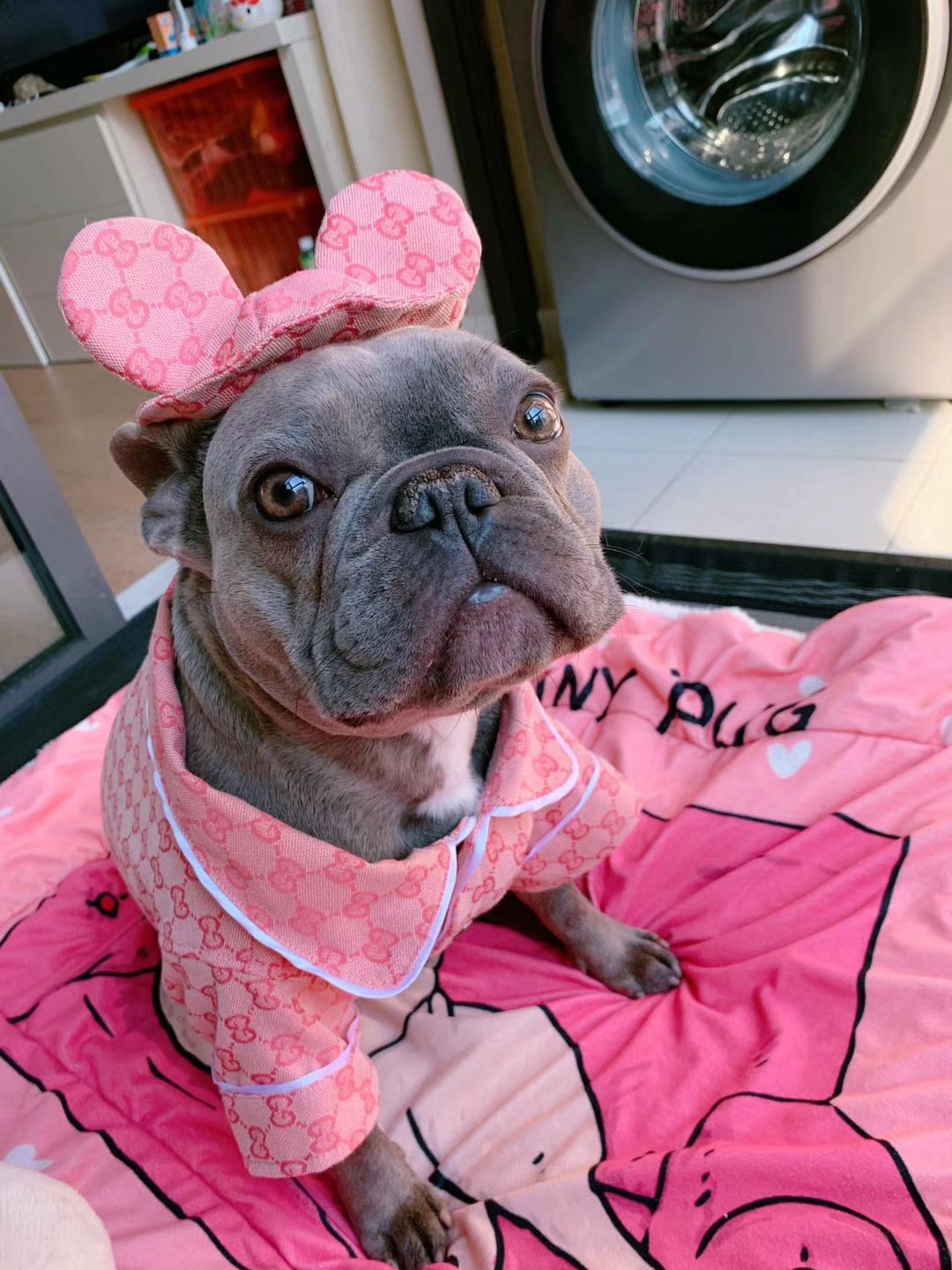 Pawcci Chapeau de pyjama rose