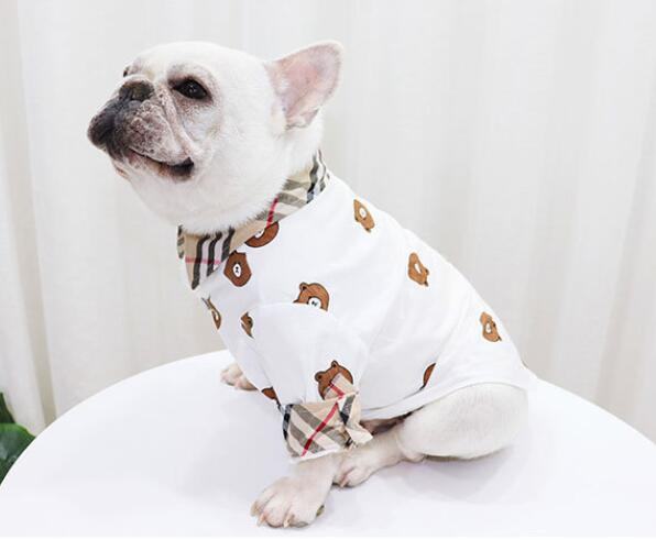 chemise purberry Bear -w180# - Bouledogue Mania