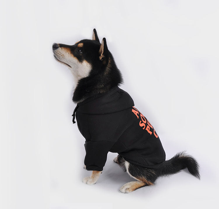 Anti Social Social Pup Noir/Orange Hoodie