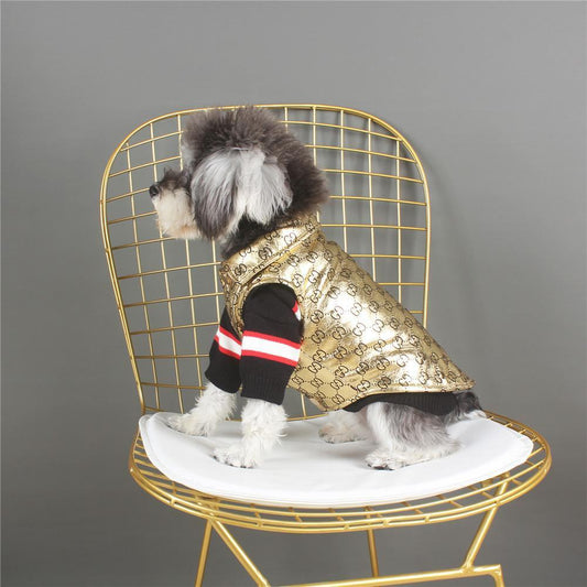 Manteau pUCCI GOLD W173# - Bouledogue Mania