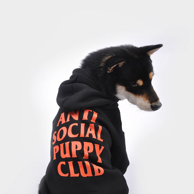 Anti Social Social Pup Noir/Orange Hoodie