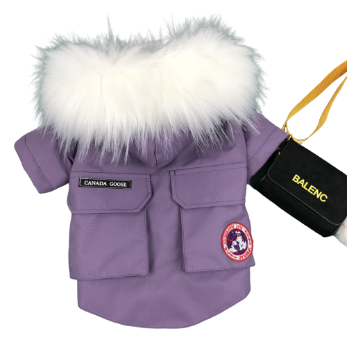 Canada Pup - Veste violette