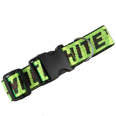 Woof-White Green Collier & Leash Set