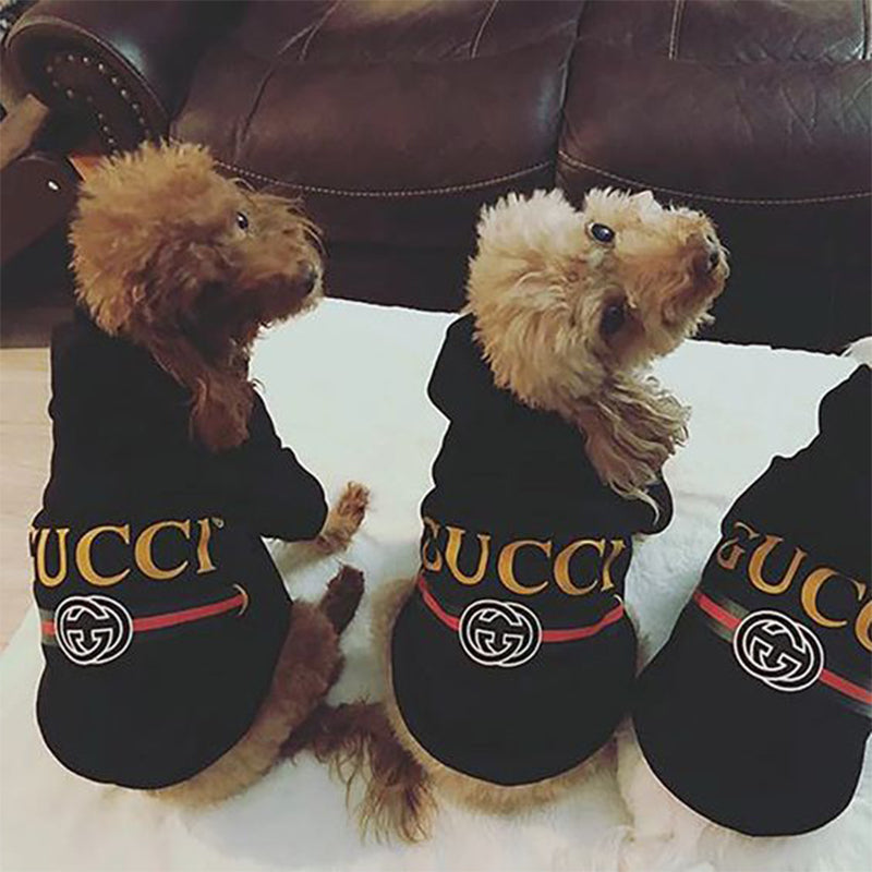 Pawcci - Sweat à capuche noir avec logo