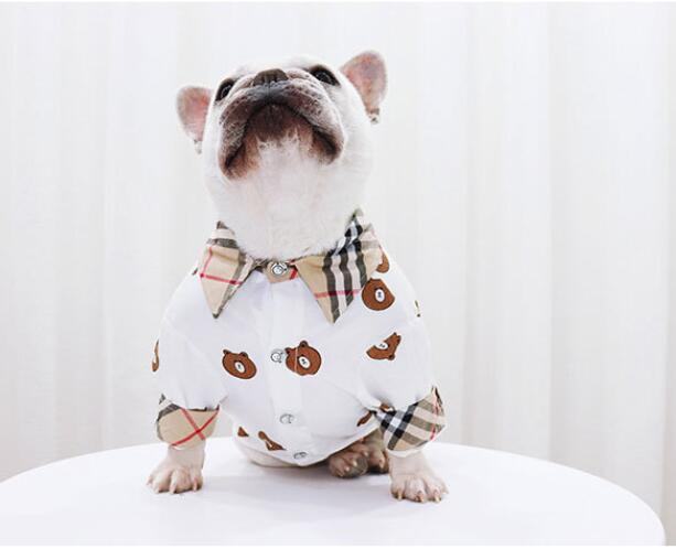 chemise purberry Bear -w180# - Bouledogue Mania