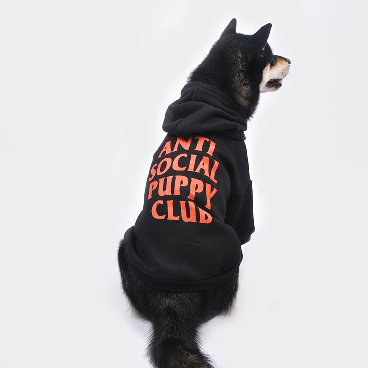 Anti Social Social Pup Noir/Orange Hoodie