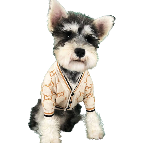 Pull beige pour chien Gucci