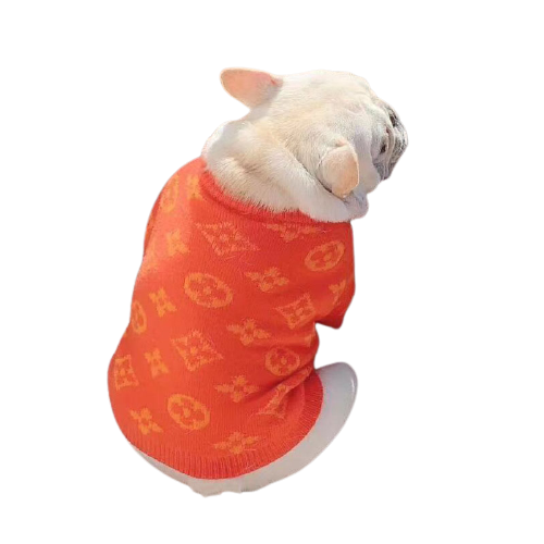 Pull Louis Vuitton Orange pour chiens