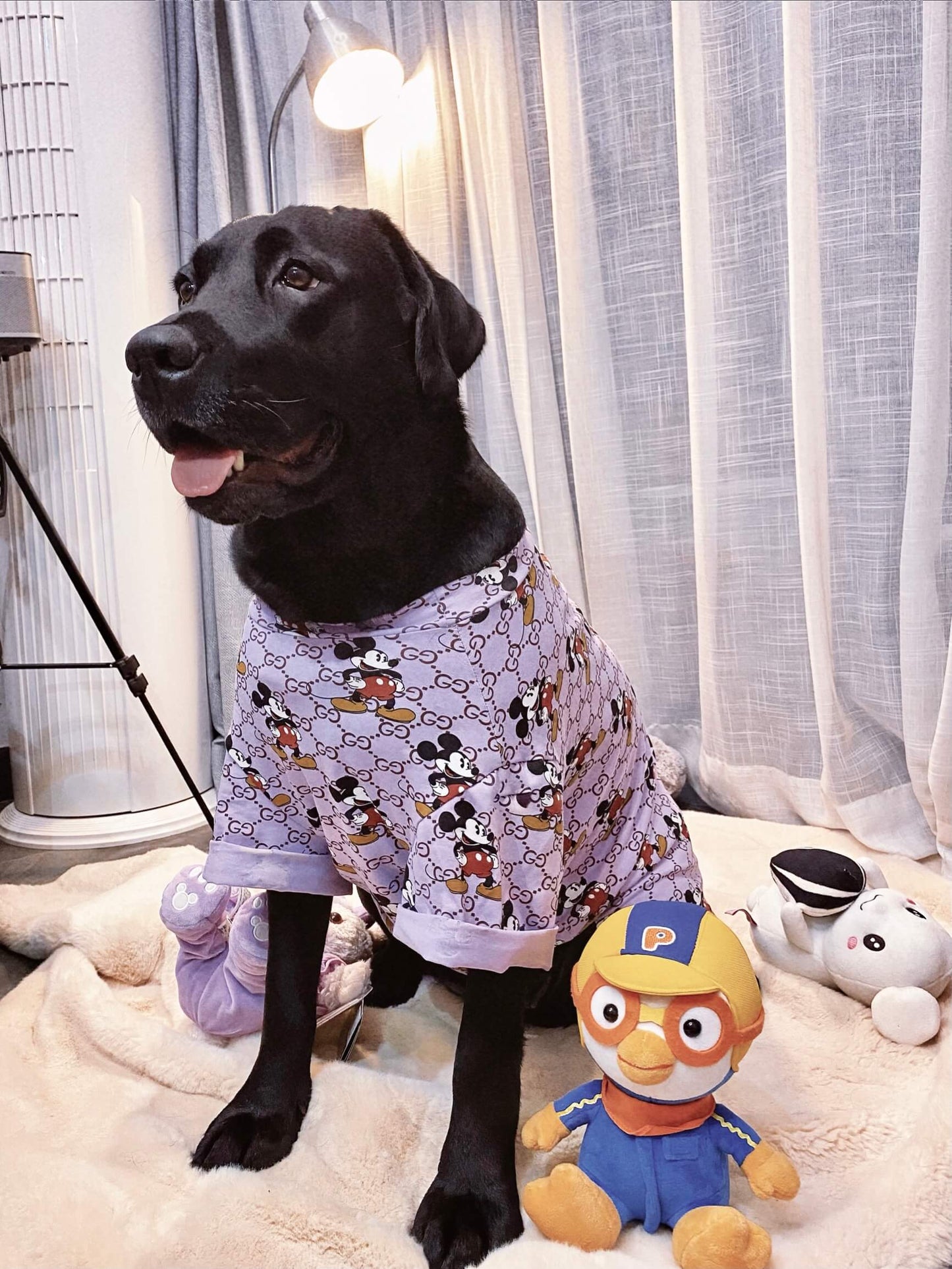 Vêtements pour grands chiens à la mode et au design classique - Bouledogue Mania