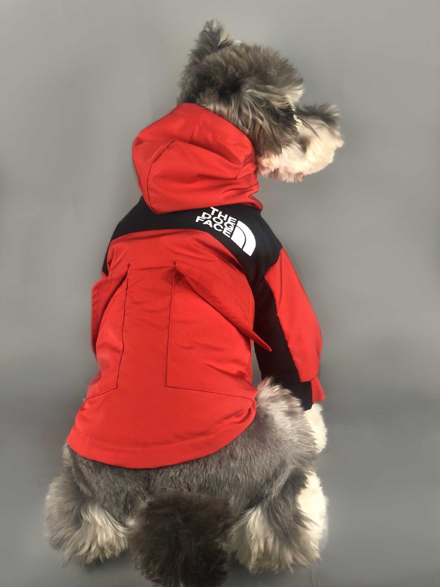 Veste en duvet pour chien The dog face | w090#