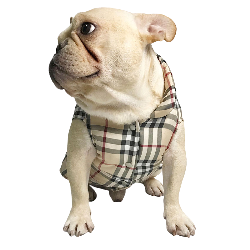 Gilet Burberry pour chiens