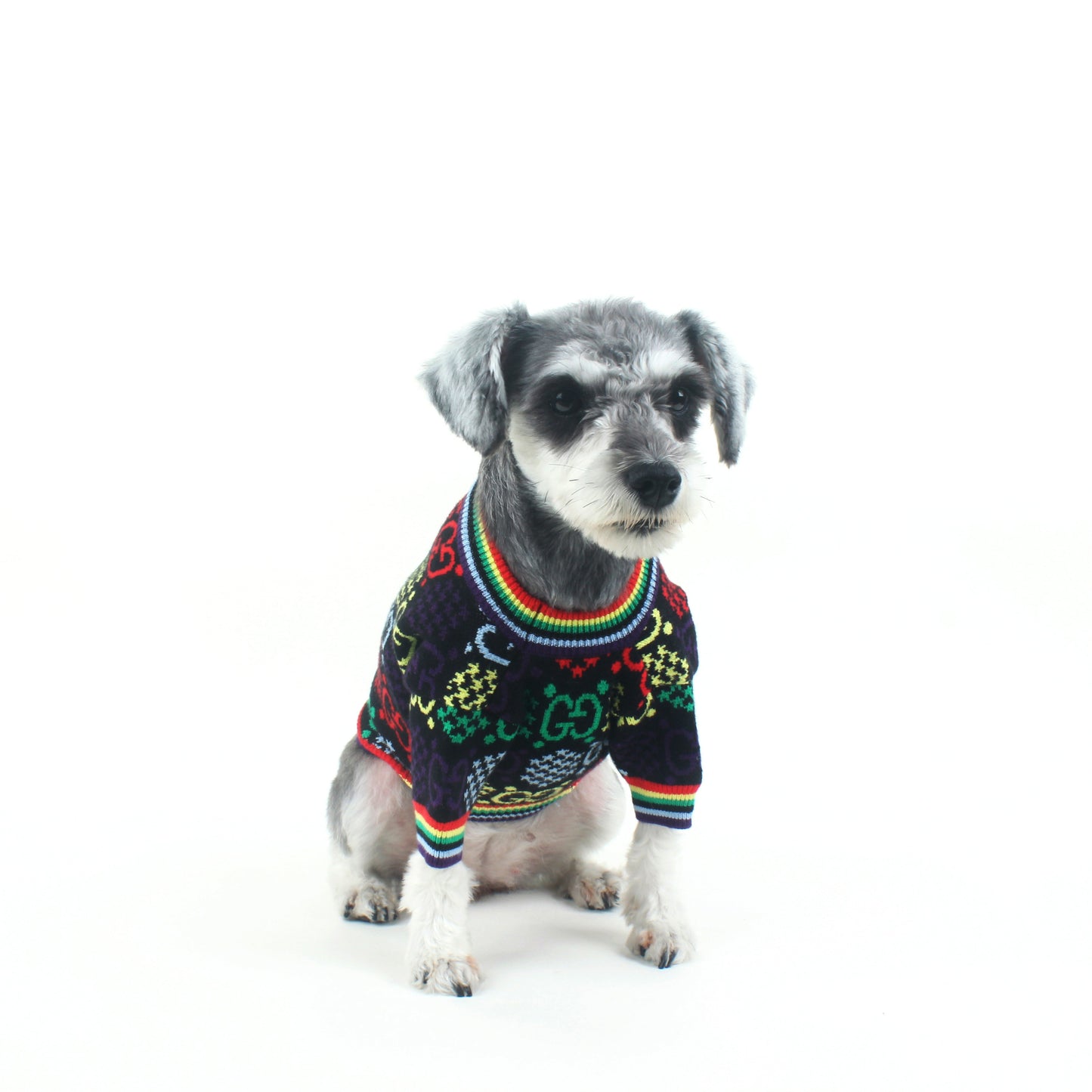 Pull pour chien Gucci multicolore