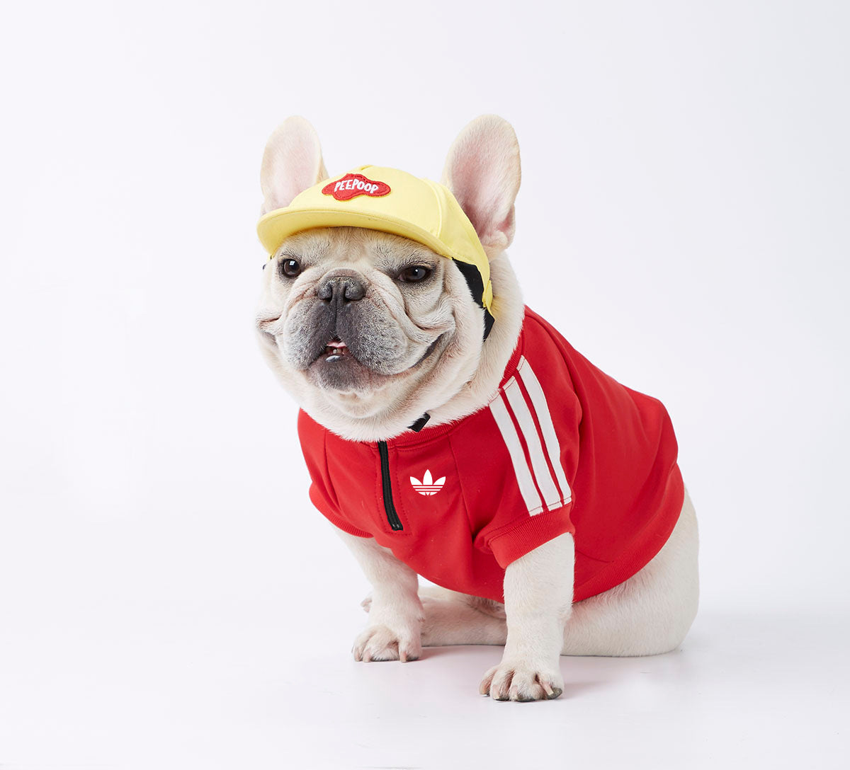 Adidog veste rouge