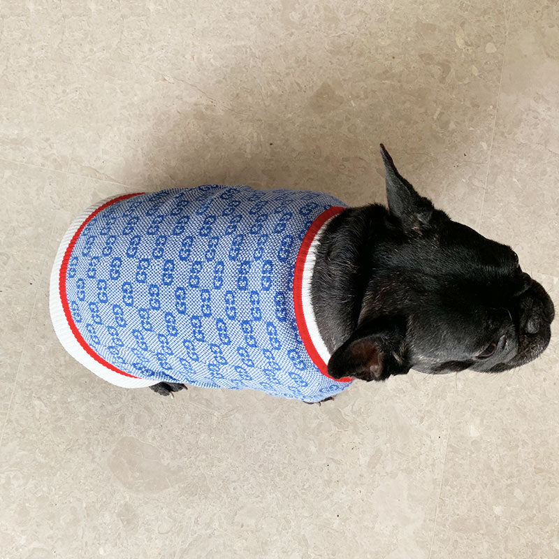 Pull pour chien bleu Gucci