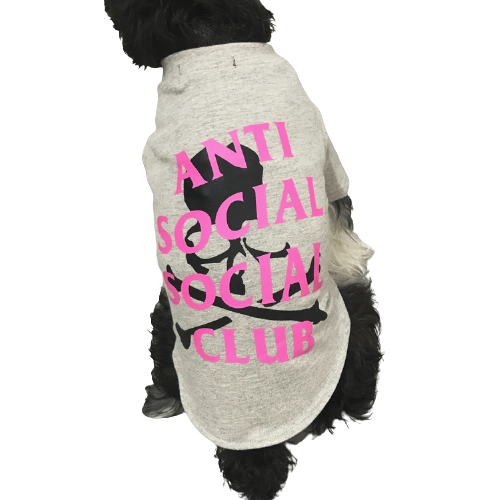 T-shirt gris "Anti Social Social Pup