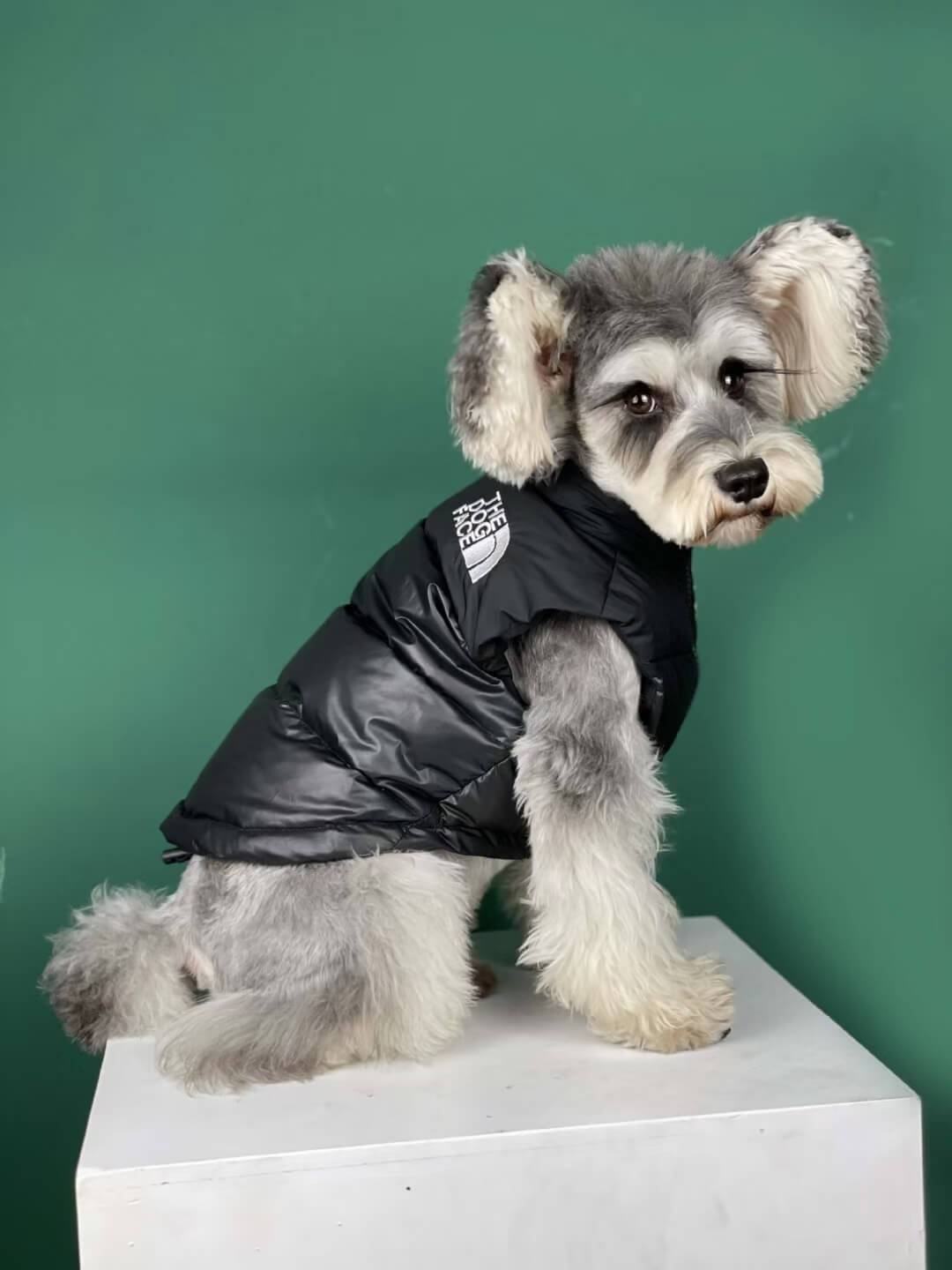 veste en duvet de chien visage gilet w257# - Bouledogue Mania