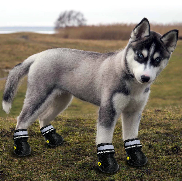 Chaussettes étanches rayées