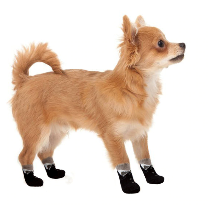 Chaussettes fumées pour animaux de compagnie