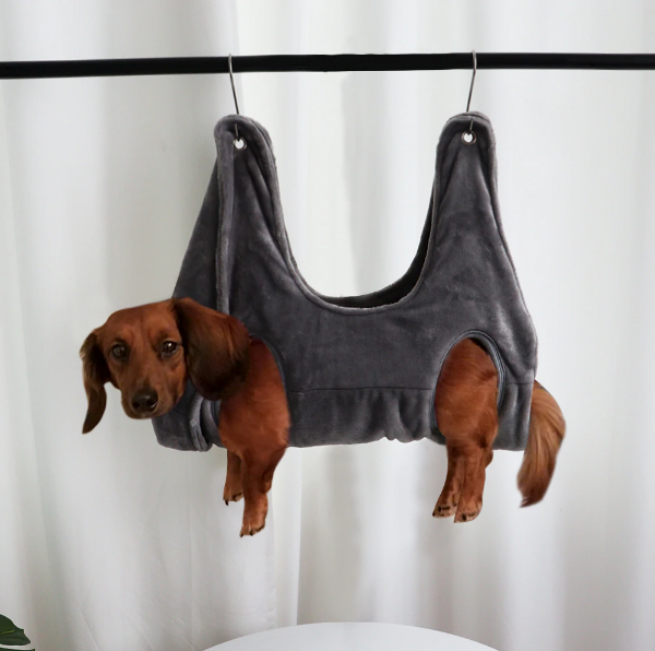 Collection de serviettes suspendues pour animaux