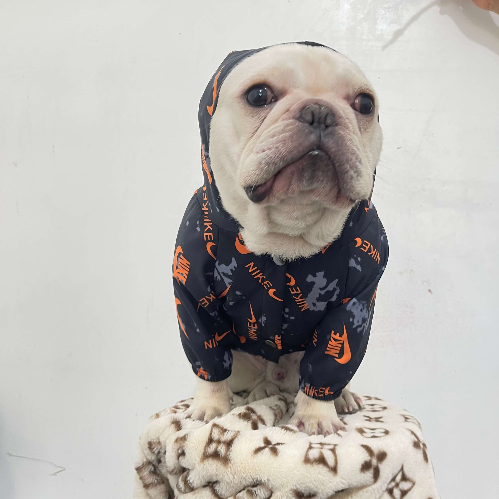 Vêtements sport pour gros chiens - Sweat à capuche pour chiot - Bouledogue Mania