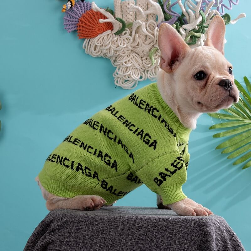 Pull pour chien Balenciaga