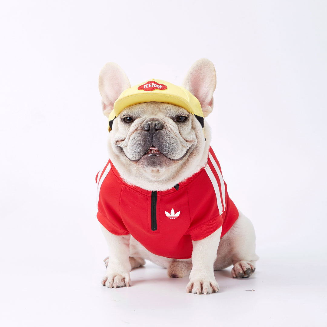 Adidog veste rouge