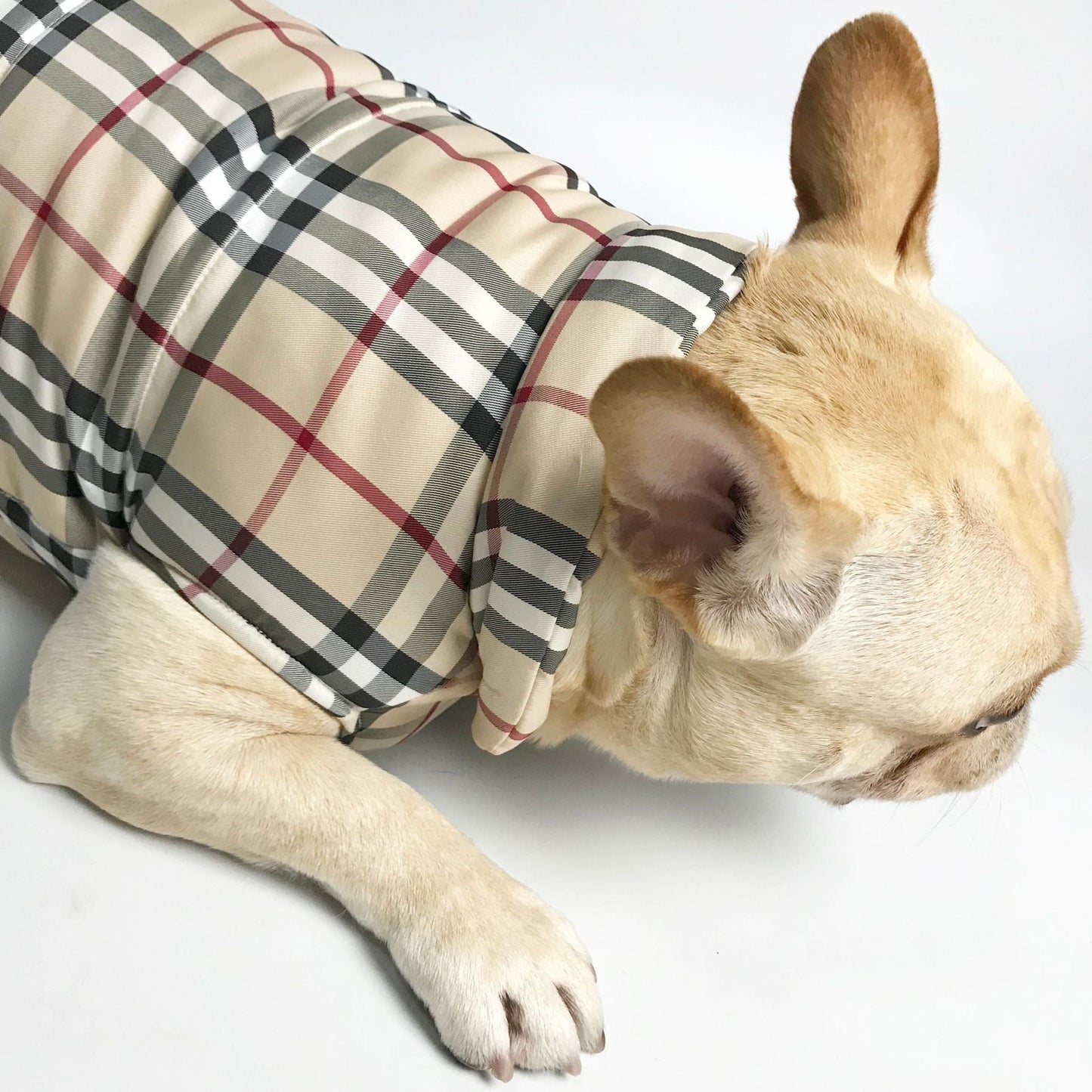 Gilet Burberry pour chiens