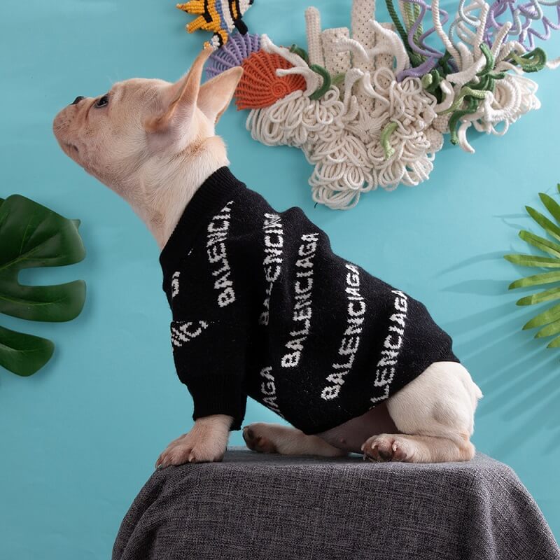 Pull pour chien Balenciaga