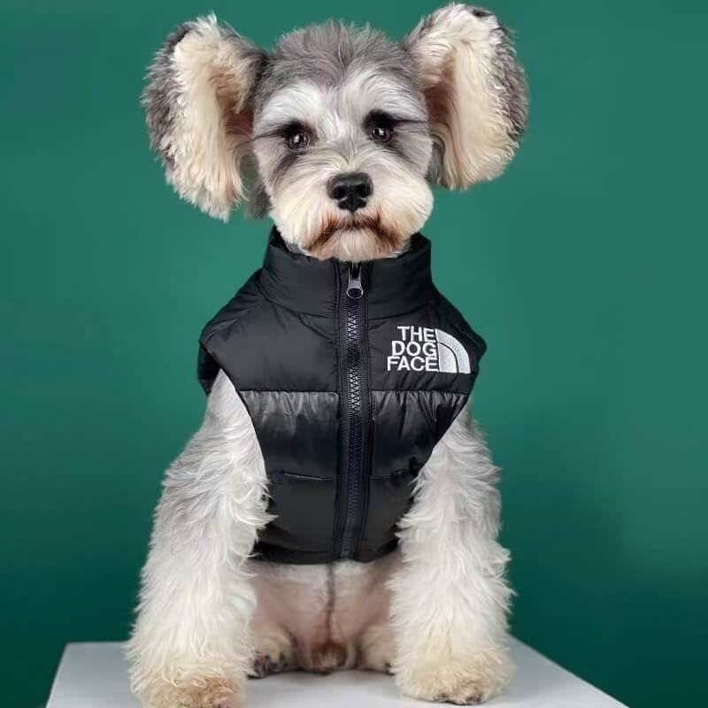 veste en duvet de chien visage gilet w257# - Bouledogue Mania