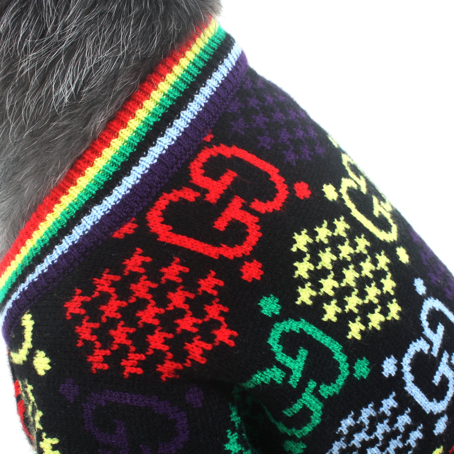 Pull pour chien Gucci multicolore