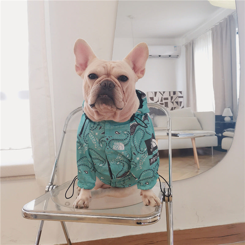 Tendance à la mode : imperméable pour chien coloré et design - Bouledogue Mania