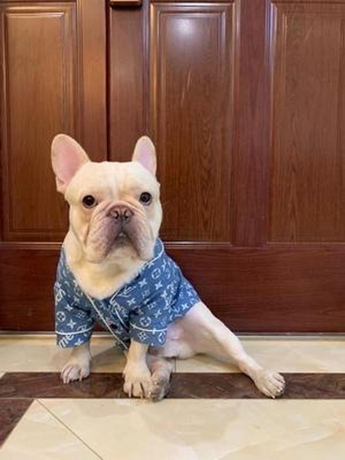 Chemise de luxe Pupreme Lv Pajamas Chien chat-193# - Bouledogue Mania