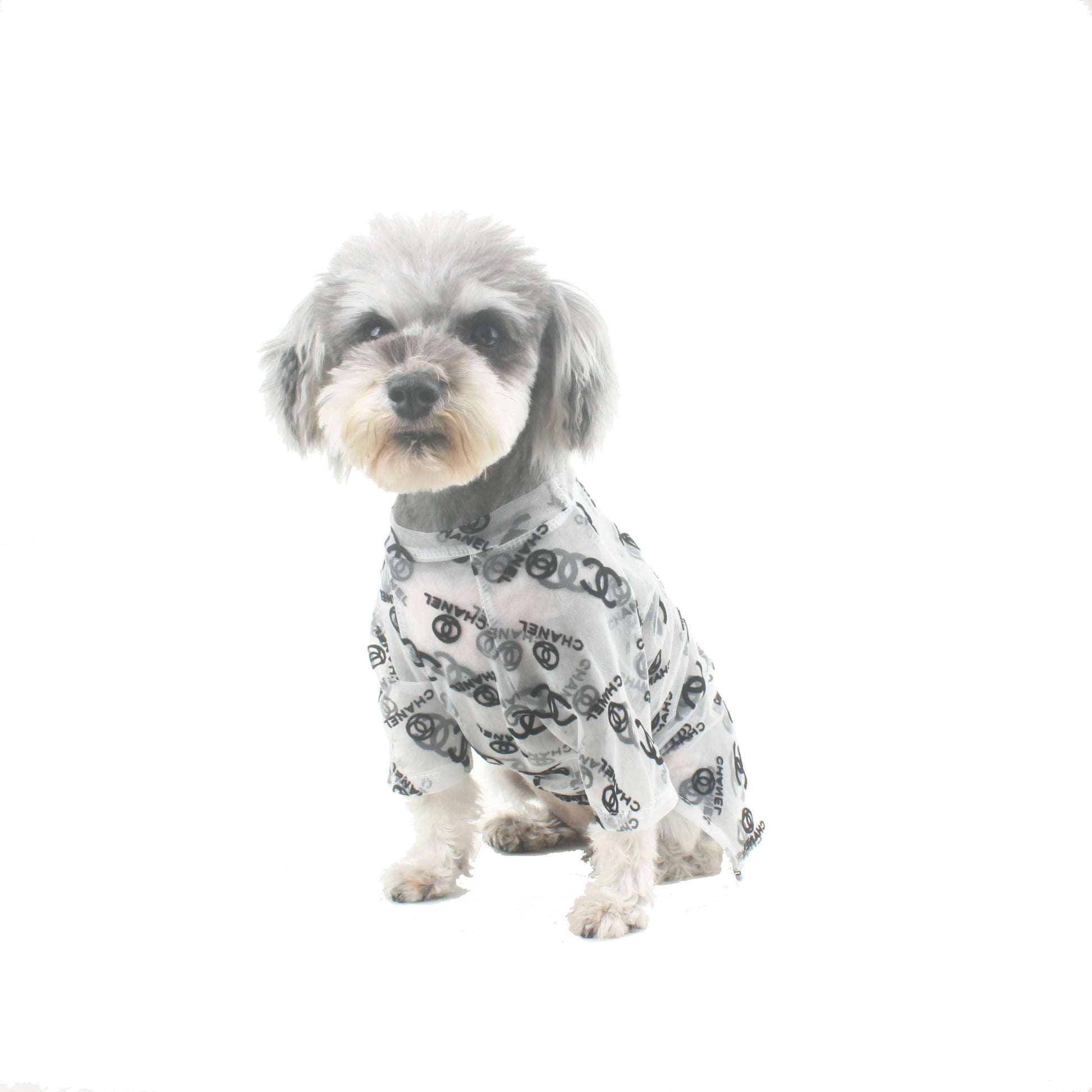 Mode estivale classique Channel design chemise pour chien noir et blanc - Bouledogue Mania