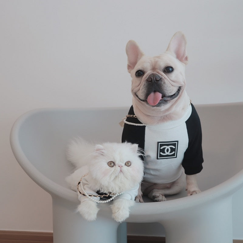 Pull pour chien classique noir et blanc pour petits et moyens chiens et chats - Bouledogue Mania