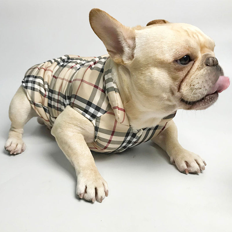 Gilet Burberry pour chiens