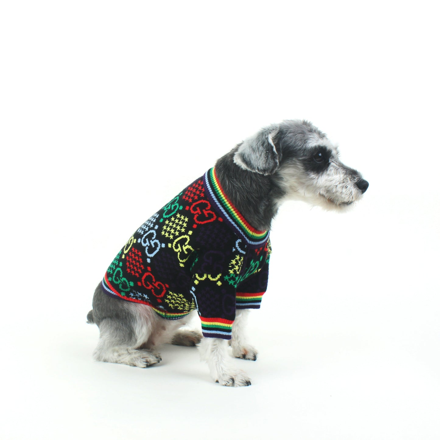 Pull pour chien Gucci multicolore